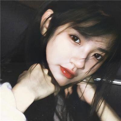 美女与猎犬